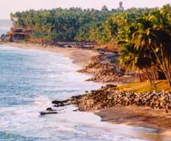 Honeymoon In Thrissur